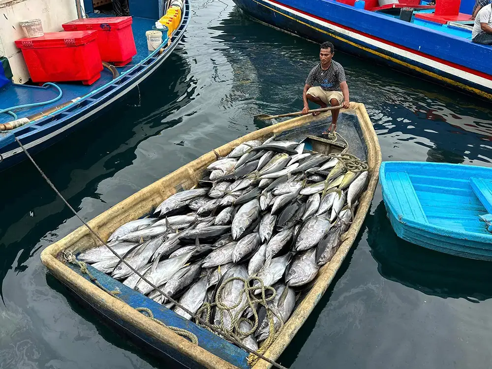 pakej percutian maldives